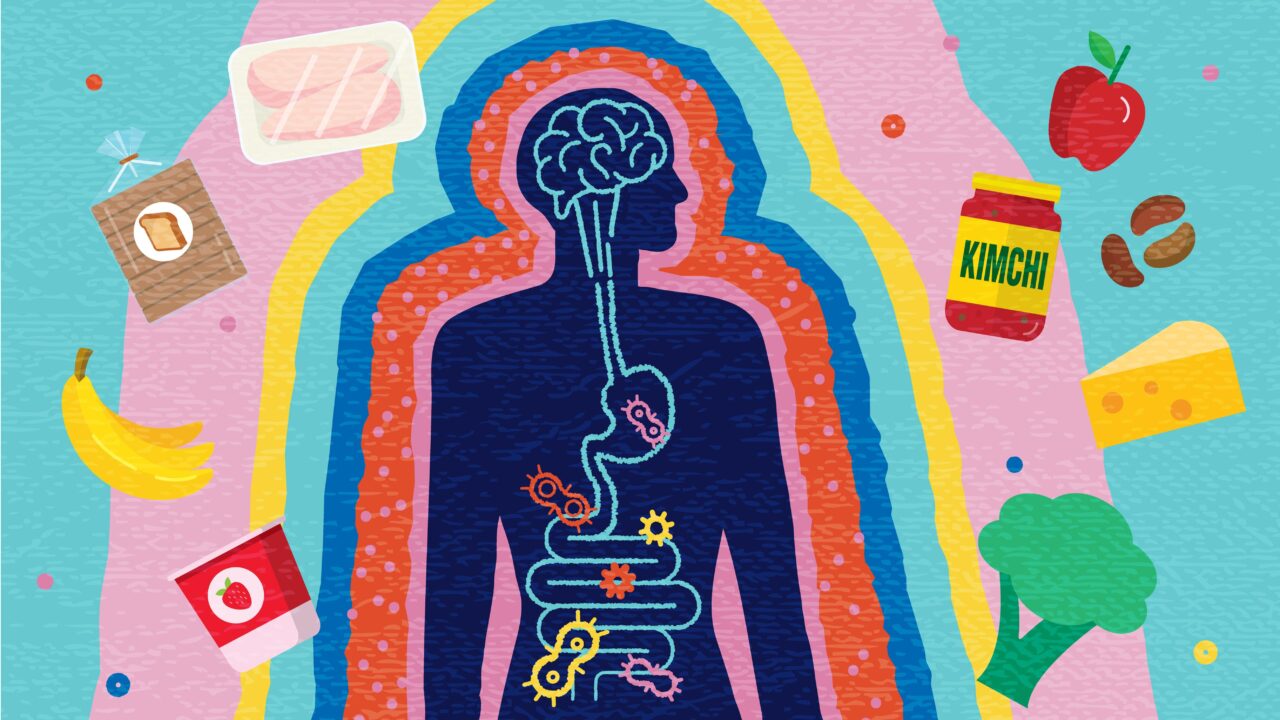 A cartoon of a human silhouette showing a brain, digestive tract, microbes and gears. Around the silhouette are colorful layers, and foods including (clockwise from bottom left) strawberry yogurt, bananas, bread, chicken, apple, kimchi, buts, cheese and broccoli.