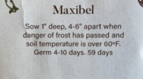 Numbers for Fall Garden Success