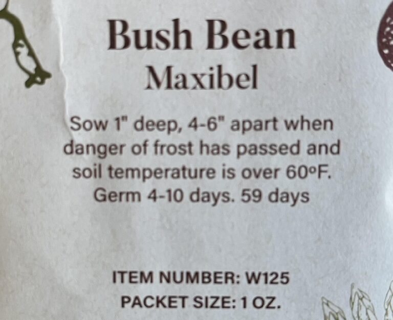 Numbers for Fall Garden Success