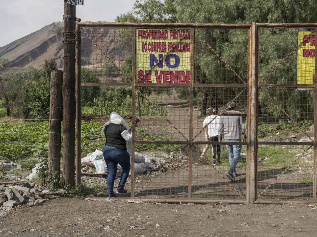 About 100,000 people are missing in Mexico. These mothers are trying to find them 1 Cecilia Flores and a group of volunteers access a property near the Xaltepec volcano to continue their search for clandestine human graves. on Tlahuac, Mexico City, May 28, 2024.