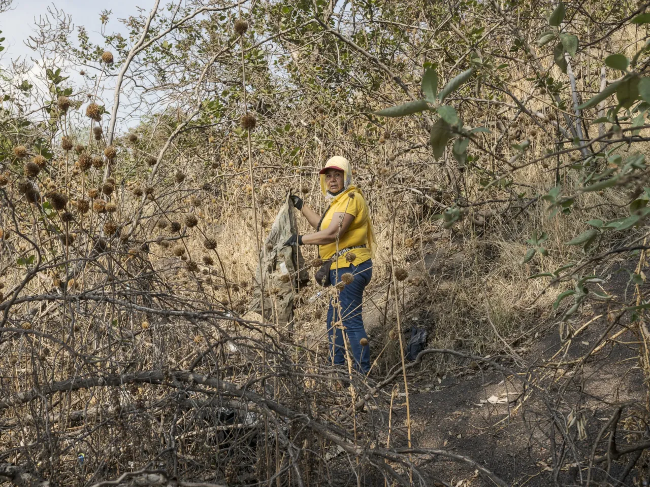 About 100,000 people are missing in Mexico. These mothers are trying to find them 2 Virginia Ponce searches around the Xaltepec volcano for any evidence of remains of human bodies that could have been buried there. on Tlahuac, Mexico City, May 28, 2024.