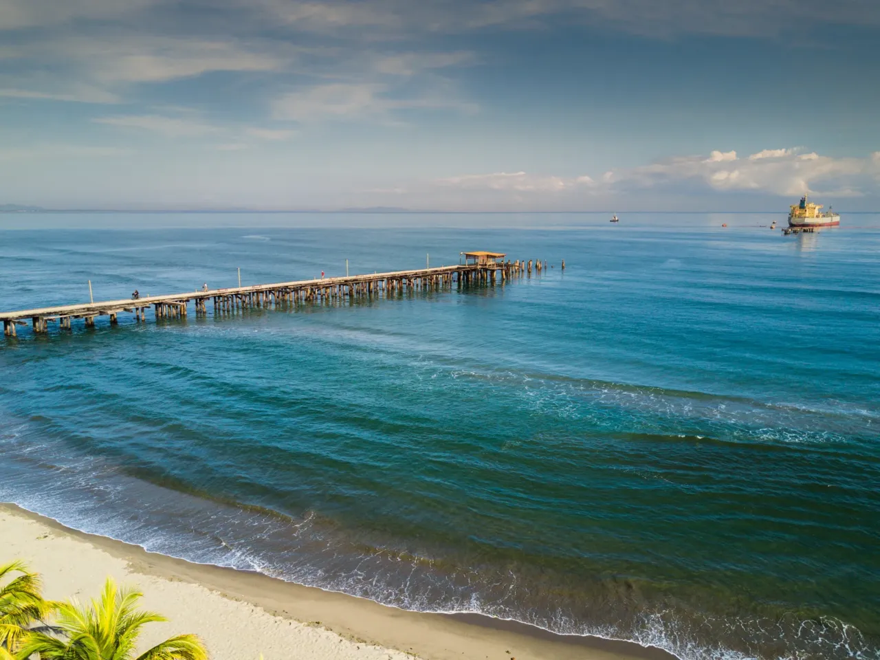 Florida reefs are in trouble. Could the answer lie in coral from the Caribbean? 2 Rising ocean temperatures around the planet are endangering coral reefs, that bleach when water remains hot for too long. But near Tela, on the northern coast of Honduras, coral are thriving in hotter, more turbid water. Scientists hope to breed them with Florida coral to produce more resilient offspring.