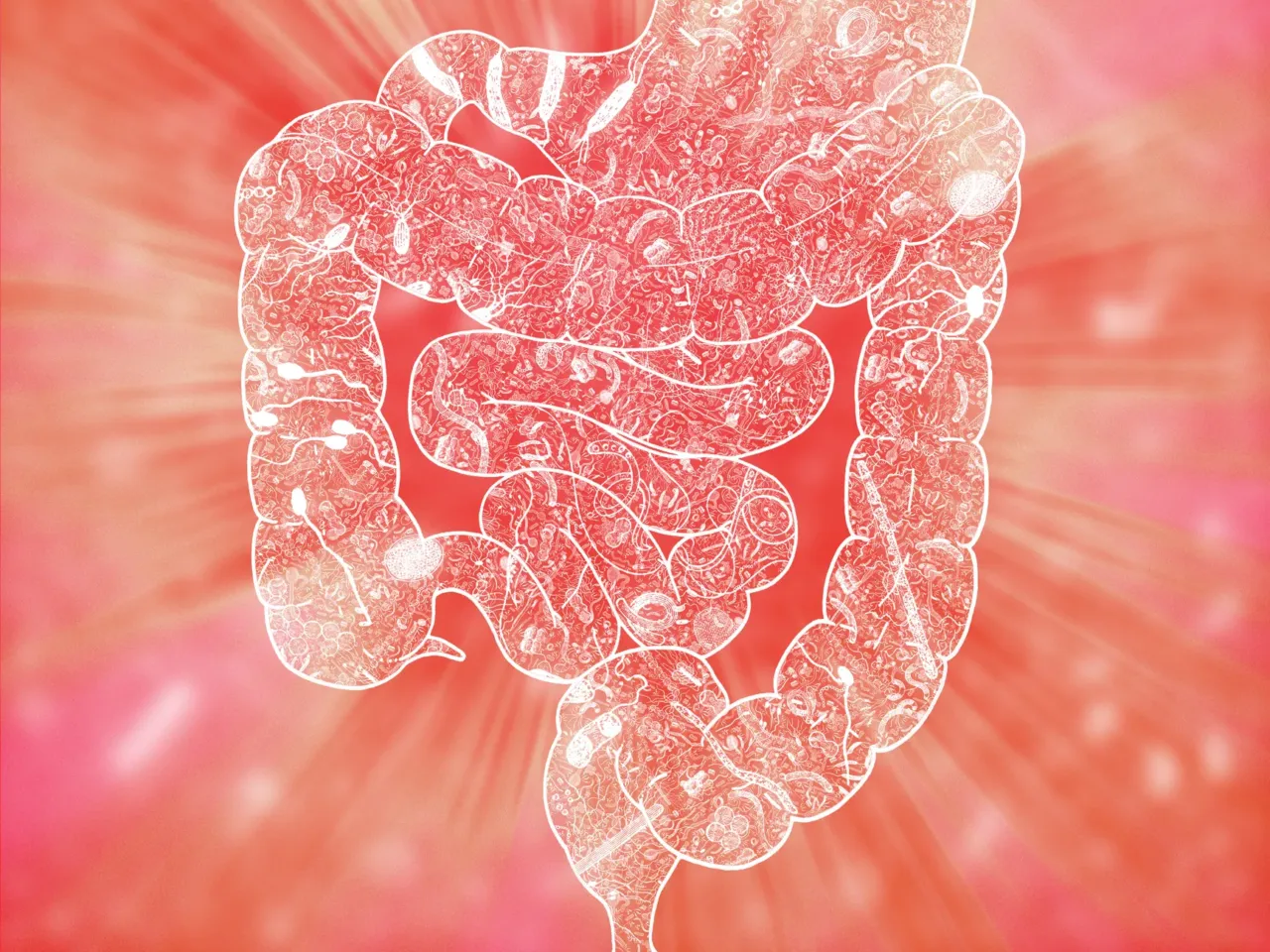 9 unexpected things we learned about mental health and our brains in 2024 2 An illustration of the human microbiome. The bacteria in our gut may influence our mental health, research finds.