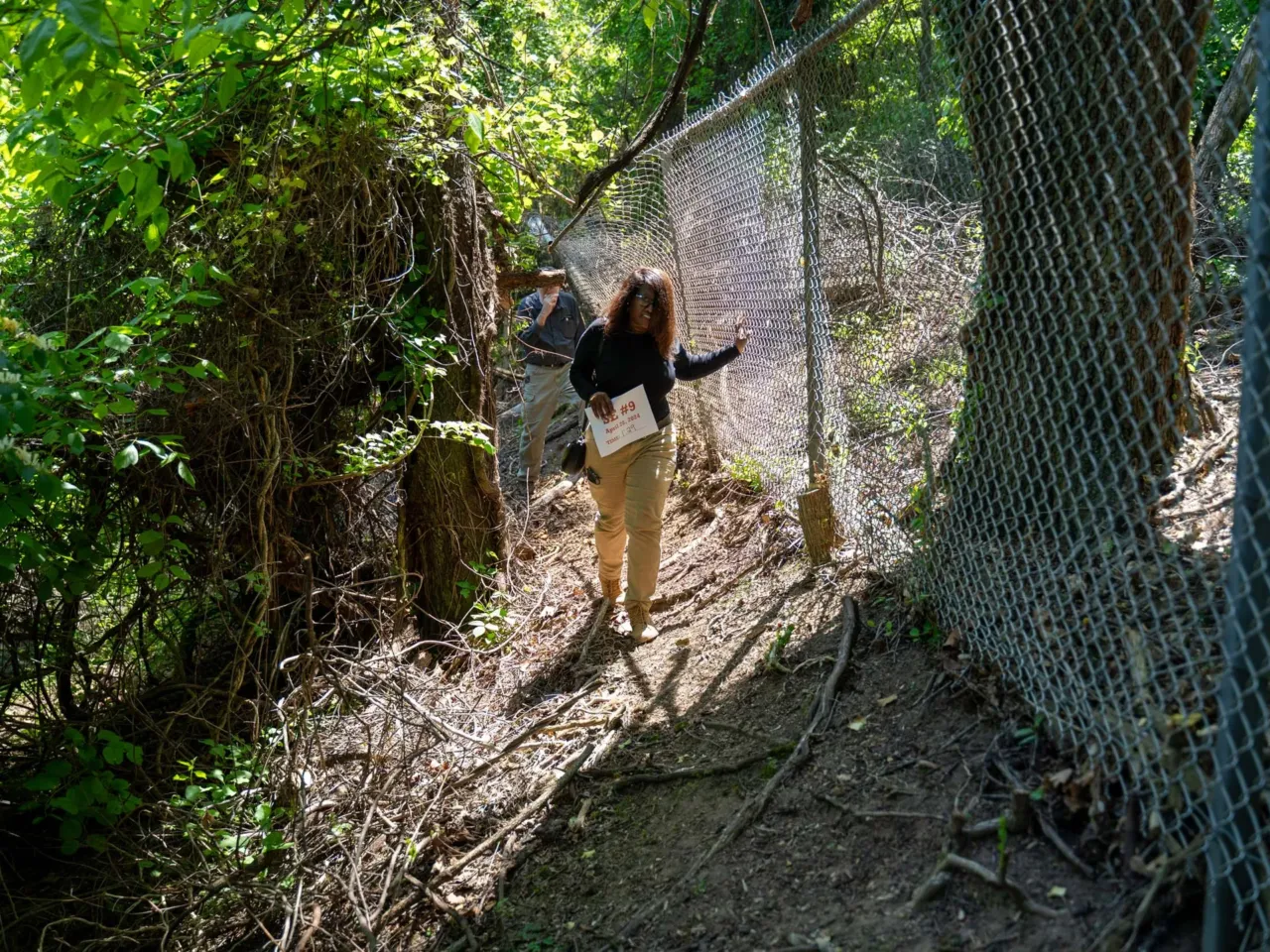 Sharon Pitts on the hunt for the southeast #9 boundary stone, located in a small forest between the Potomac River and I-295.