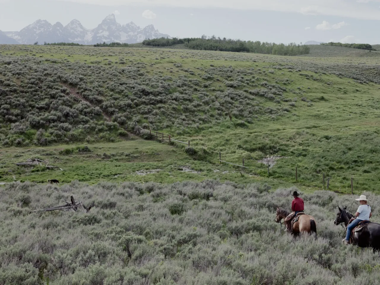 Wyoming offers to sell land to Grand Teton park -- or it could go to developers 1 Jake Hutton leads a visitor past a spring on the Kelly Parcel.