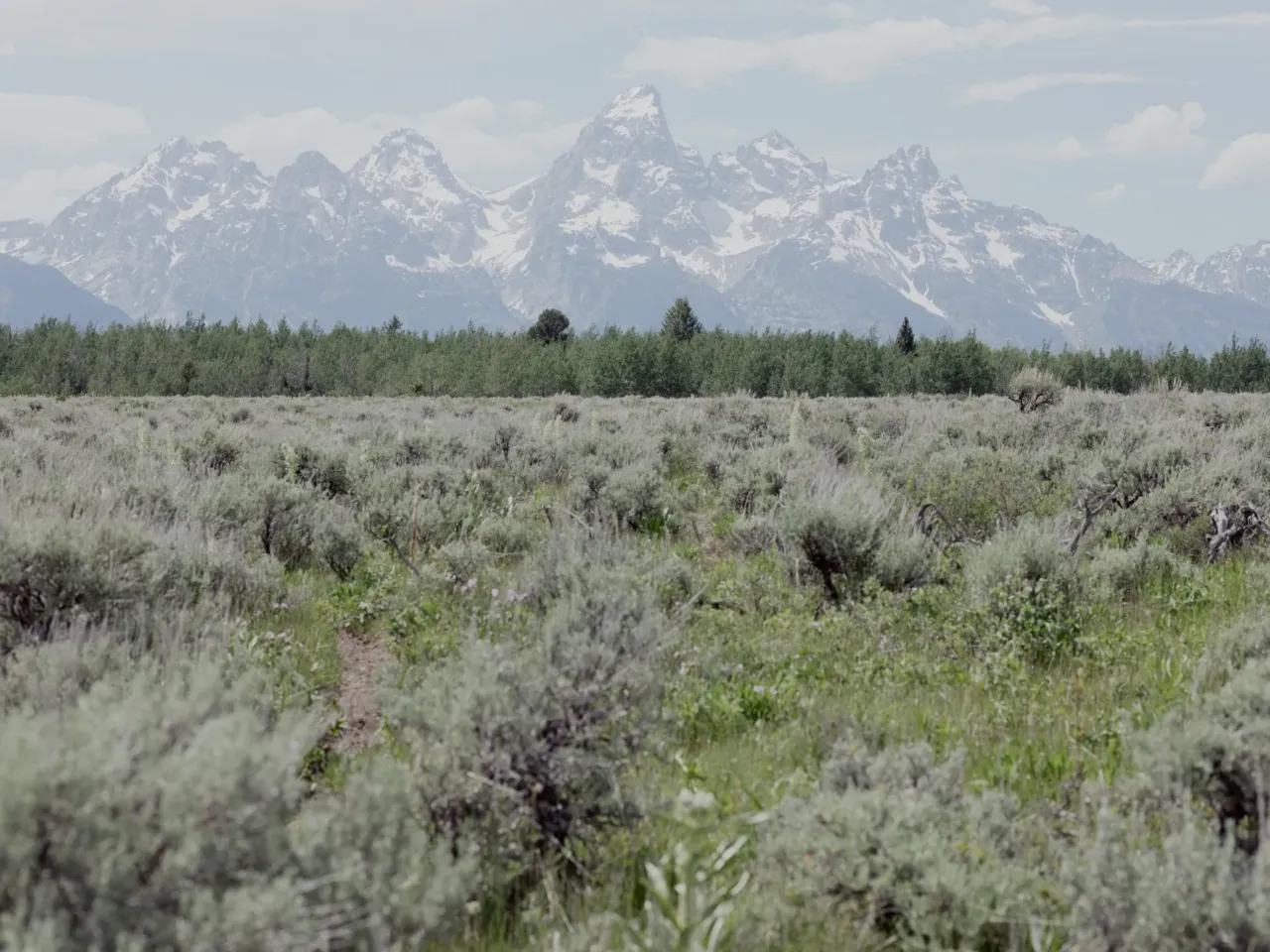 Wyoming offers to sell land to Grand Teton park -- or it could go to developers 3 Grand Teton National Park Foundation has two years to raise $38 million while the federal government would put in the rest of the money needed to buy the land from Wyoming for $100 million.