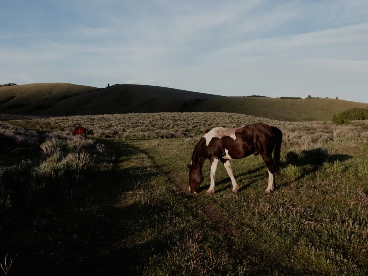 Wyoming offers to sell land to Grand Teton park -- or it could go to developers 4 The Kelly Parcel, about 640 acres abutting the Grand Teton National Park, is owned by Wyoming and the state's constitution requires it to raise revenue from state lands. Wyoming uses most of the money for schools and might sell the Kelly Parcel to make more.
