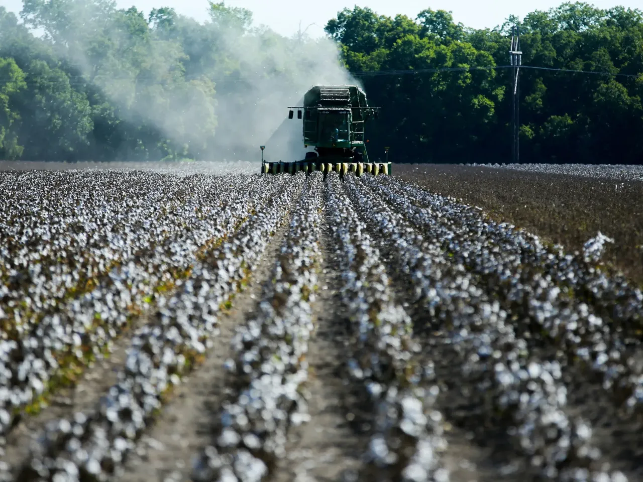 Water treaty between Mexico and U.S. faces biggest test in 80 years 1 Farmers harvest cotton from a 140-acre field in Ellis County, near Waxahachie, Texas, in 2022.