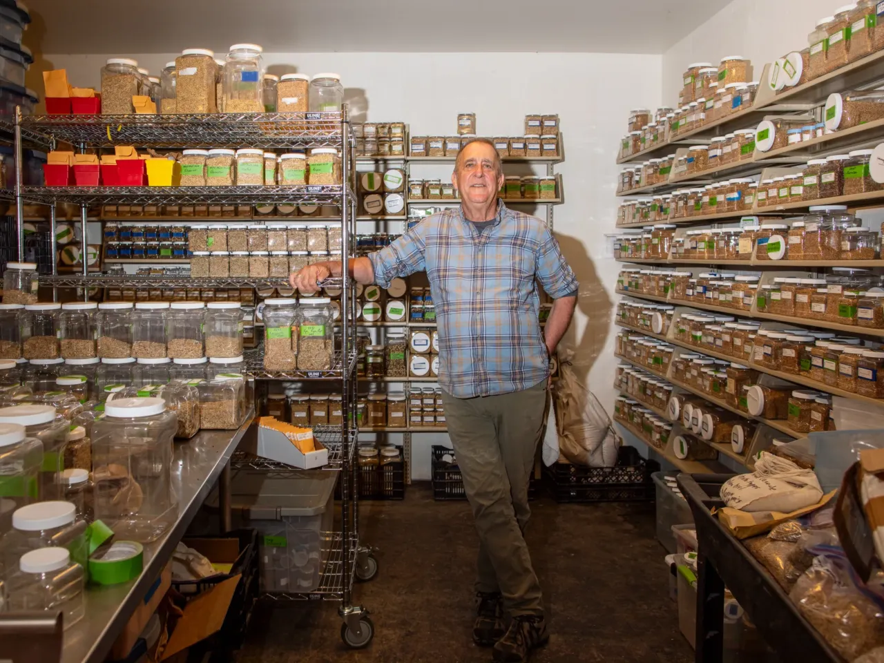 Stephen Jones worked as a commercial wheat breeder for decades but become disillusioned with the grain industry. In his view, the industry was excessively focused on producing smooth, perfectly consistent white flour — and chased genetic consistency in the field. The Breadlab breeds highly genetically diverse wheats, seeking climate resilience — and great yield and flavor. They keep seeds from thousands of varieties in a temperature-controlled storage room.