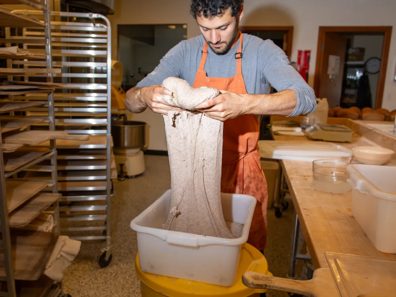 Robin Morgan stretches whole wheat bread dough at WSU's Breadlab.
