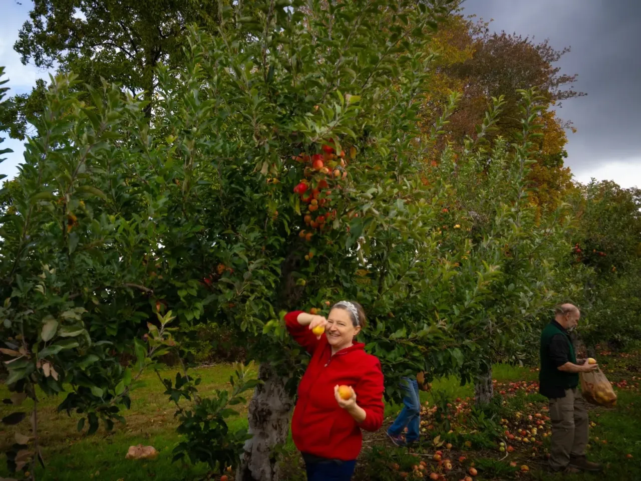 Creative ways communities are reducing food waste 3 Lindsey Shaklee says gleaning reminds her of the cooperation between humans and nature. The proximity of the winter makes her reflect that as productive as we can be, we also have to find time to recharge and rest.