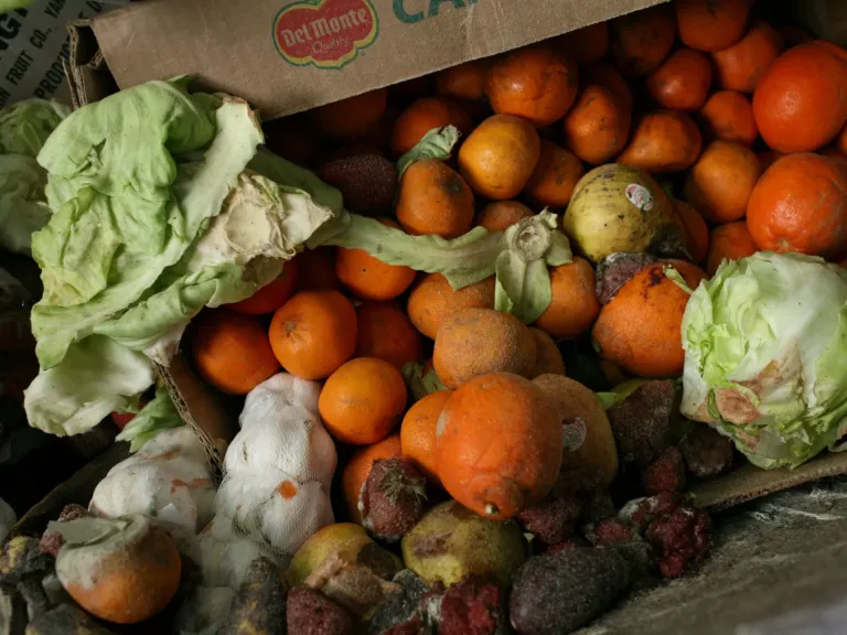 Creative ways communities are reducing food waste