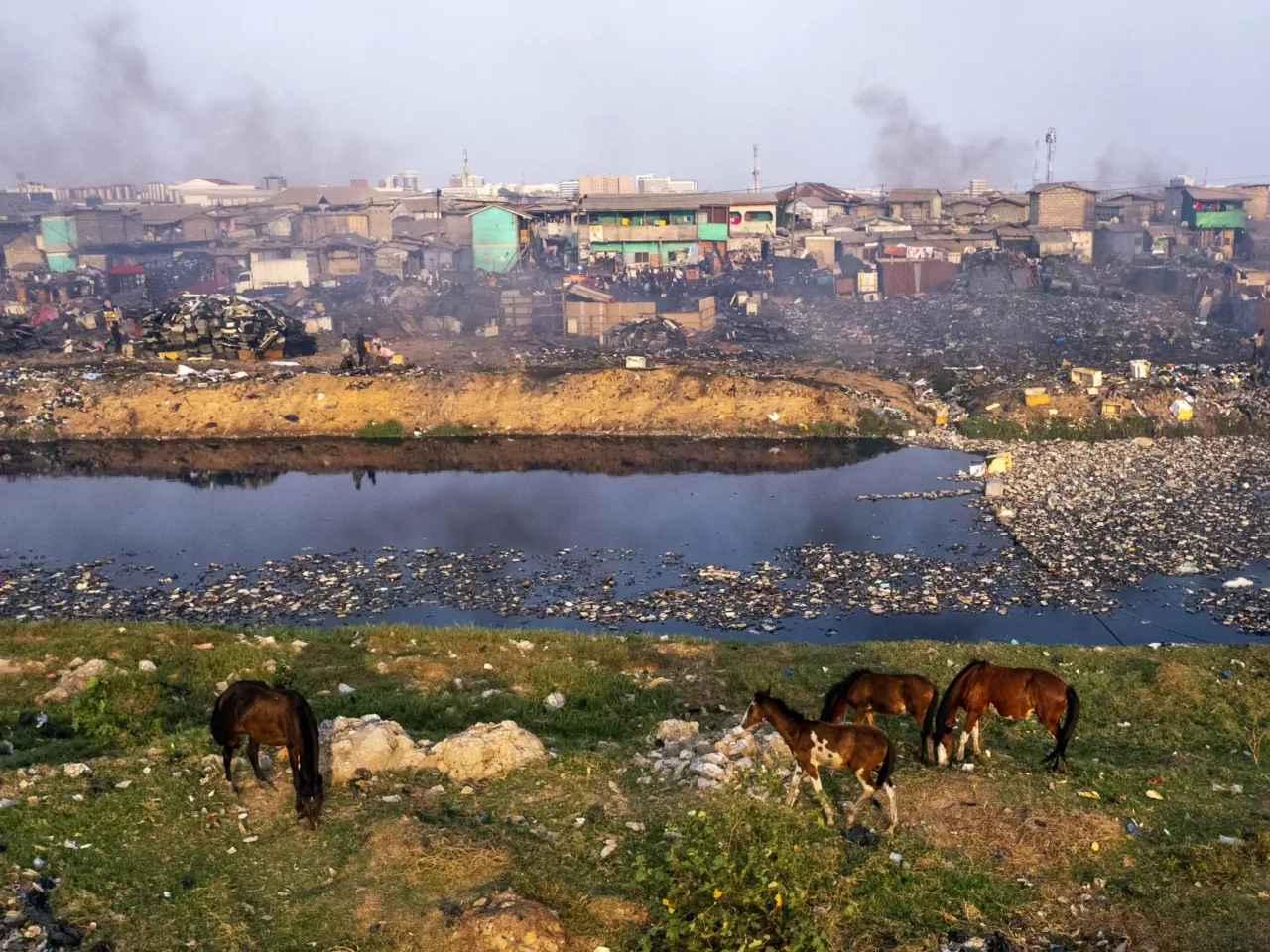 An aerial photo shows horses foraging on a section of the now-demolished Agbogbloshie Scrapyard site in Accra, Ghana.