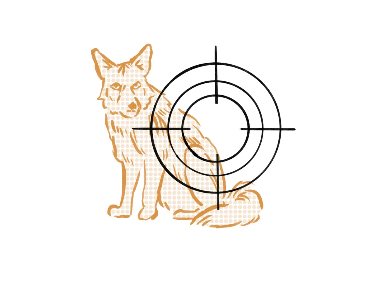 'That's a bloodbath': How a federal program kills wildlife for private interests 3 135865 coyote