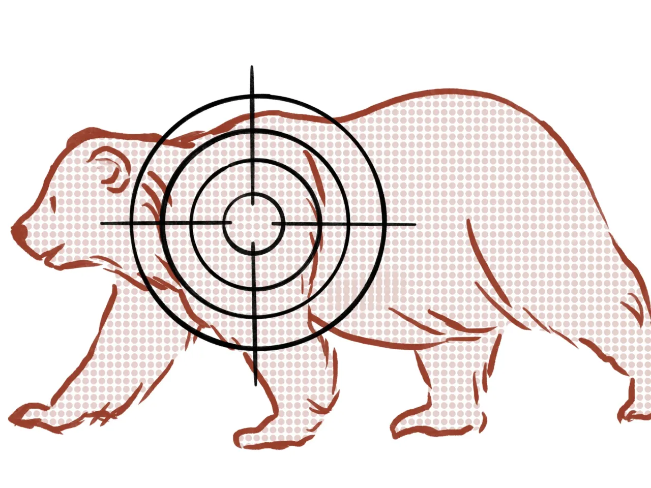 'That's a bloodbath': How a federal program kills wildlife for private interests 6 135868 bear
