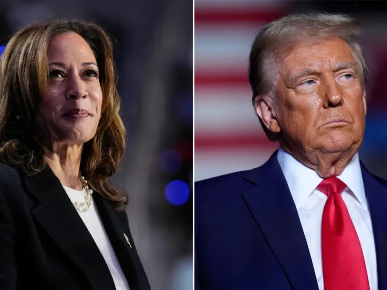 Fast facts: 2024 election edition