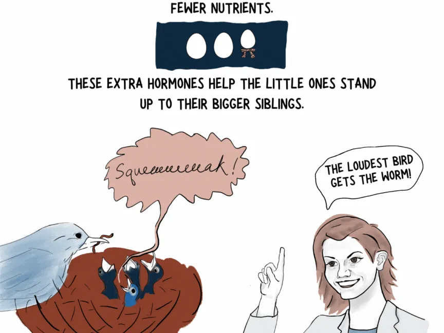 The wild science (and drama) of bird families 4 140202 page 4 web 12