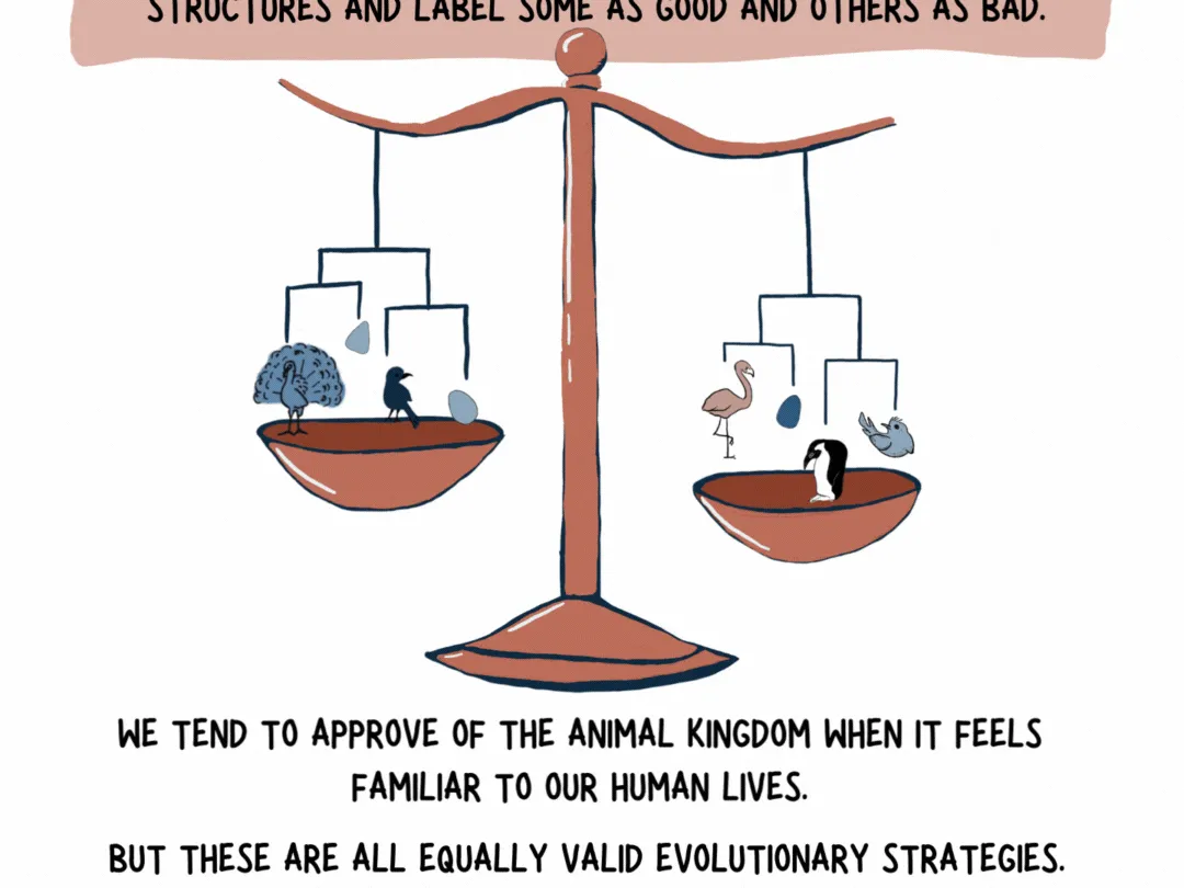The wild science (and drama) of bird families 9 140207 page 9 web 4