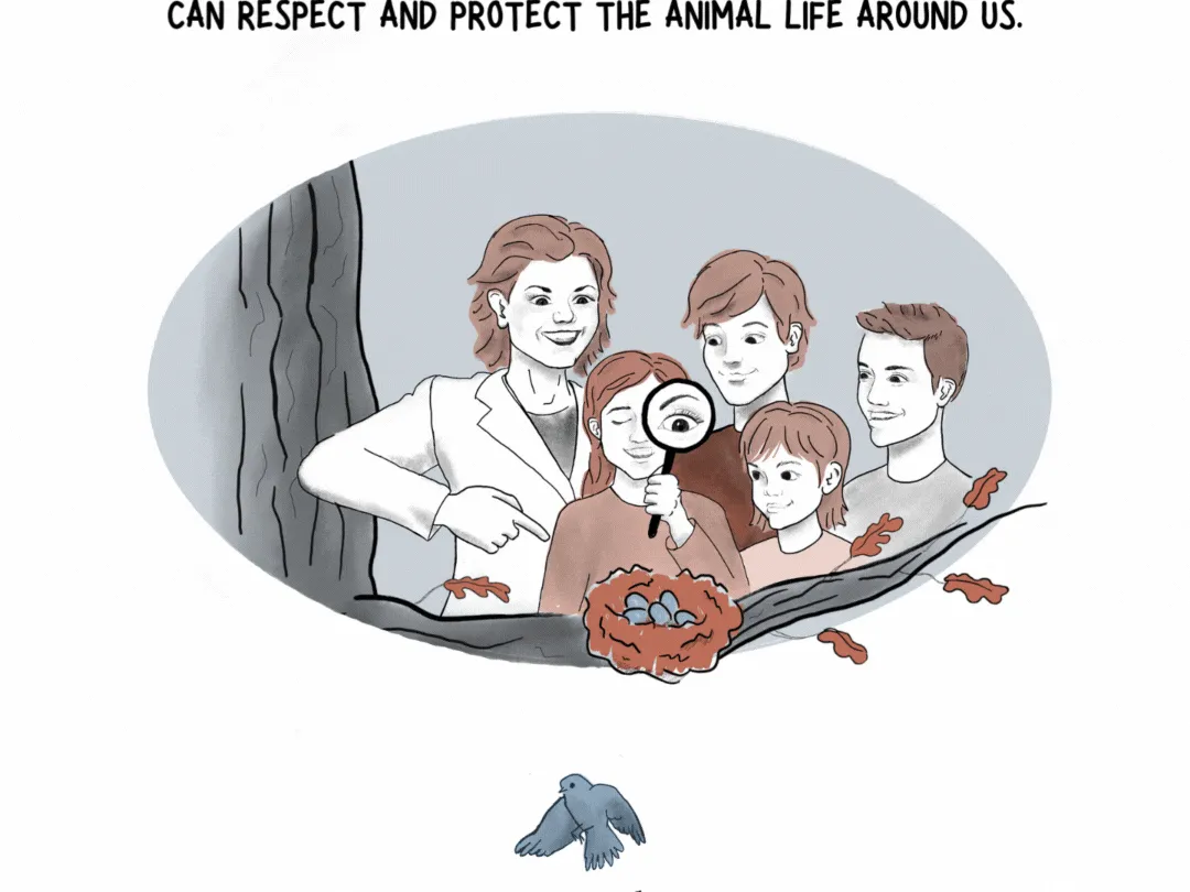 The wild science (and drama) of bird families 10 140208 page 10 web 4