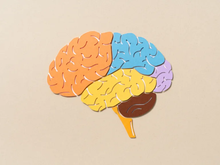 9 unexpected things we learned about mental health and our brains in 2024