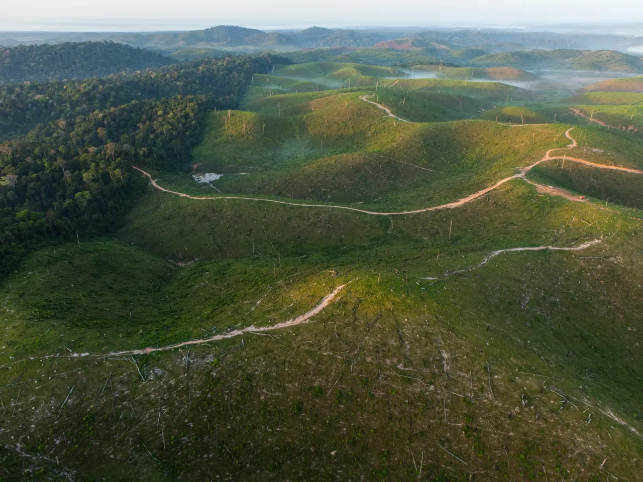 PHOTOS: A drone's eye view of 'foodscapes,' from cattle to soybeans to shrimp 4 This photo shows paths of deforestation carved by illegal clearcutting for cattle farms, logging and gold mining in Pará State, near Itaituba in Brazil.