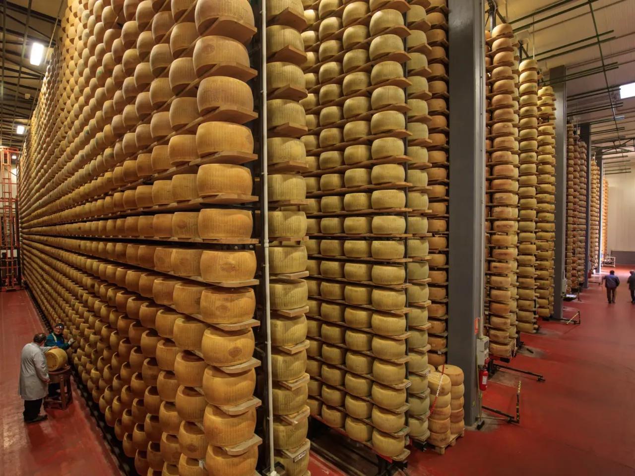 PHOTOS: A drone's eye view of 'foodscapes,' from cattle to soybeans to shrimp 8 The Magazzini Generali delle Tagliate warehouse in Emilia Romagna, Italy is the Fort Knox of cheese, with an inventory of 500,000 wheels worth an estimated 157 million dollars. Production of classic Parmigiano Reggiano dates back to Benedictine monks in the Middle Ages. For the last 80 years, production has been strictly controlled. Cows must be raised in the provinces of Parma, Reggio Emilia, Modena, and parts of Bologna and Mantua, and eat only local forage. It takes 145 gallons of milk to make each 84-pound wheel, which is aged at least a year — and turned and brushed every seven days to cure properly. At the end of the year experts tap each wheel with a hammer to listen for defects and decide whether it is worthy to be branded with the mark of Parmigiano Reggiano. If so, it's left to cure for another 24 to 40 months.