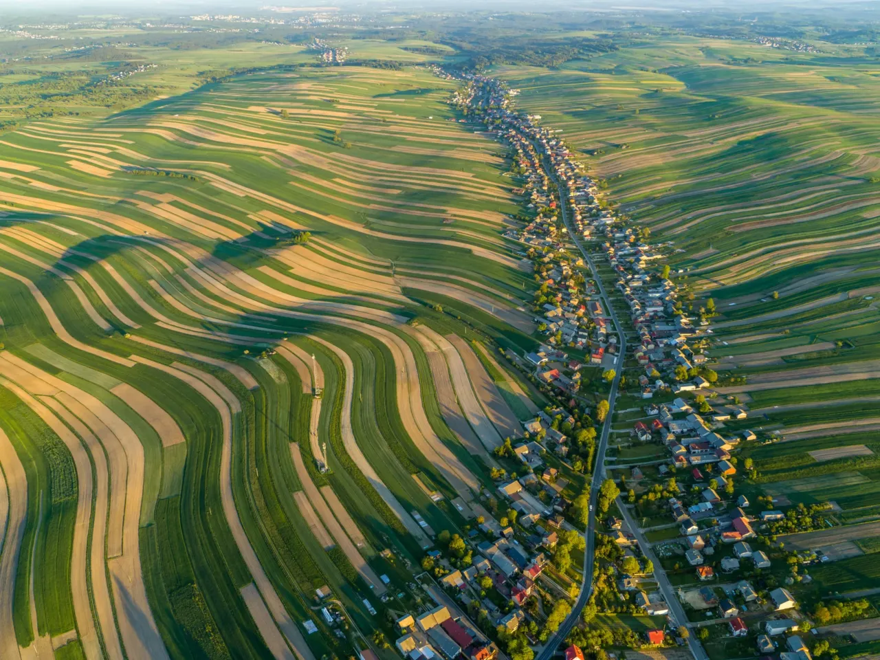 PHOTOS: A drone's eye view of 'foodscapes,' from cattle to soybeans to shrimp 9 From sleepy 16th-century village to 21st-century internet sensation, Sułoszowa in southern Poland (population 6,000) earned millions of online fans after this aerial image of the one-road town went viral in 2020. It was the field system of narrow strips of farmland attached to the back of each house that caught everyone's eye. Known as a Waldhufendorf, or "forest village," the town has a layout that was common in Central Europe during the late Middle Ages, as settlers reclaimed forests in hilly or mountainous areas. Each farmer received an equal allotment of roughly 40 acres — enough for one family to farm without help from others. Although the strips have narrowed over the years as they've been divided and passed to each generation, they still produce wheat, oats, potatoes, cabbage and strawberries.