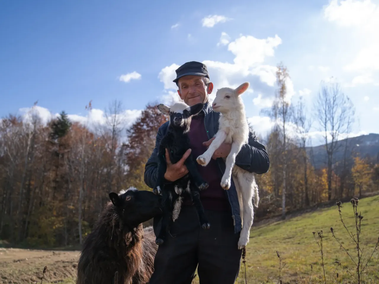 Mikhailo Bilak holds two lambs while their mother looks on.