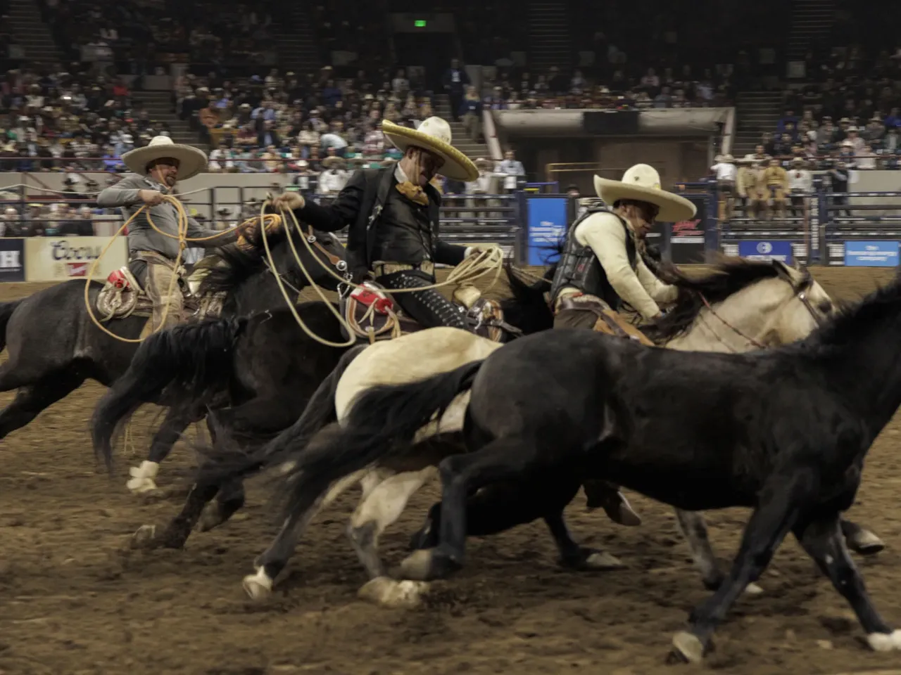 Charros prepare for an event called "El Paso de la Muerte," or "Death Pass." In El Paso de la Muerte, a charro must jump from his horse to the bare back of a wild horse until it stops bucking.
