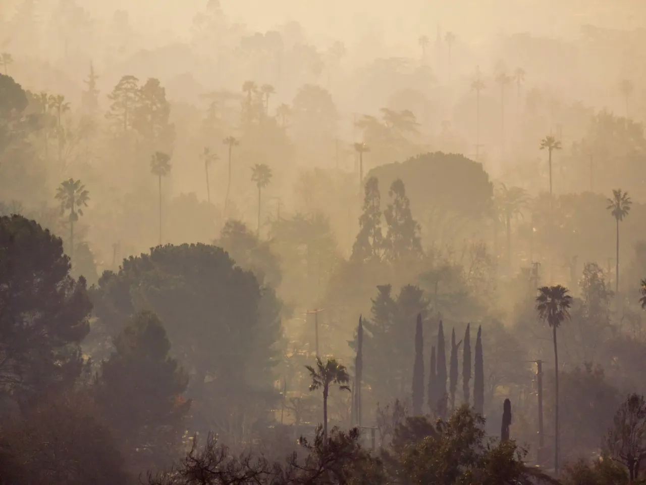 Saturday, Jan. 11: Smoke lingers over destroyed homes in the aftermath of the Eaton Fire in Altadena.