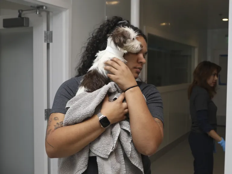 Photos: Southern California pets receive aid from rescue groups