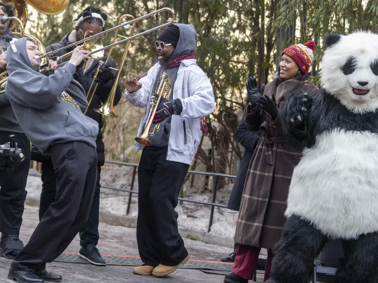 Washington D.C. Mayor Muriel Bowser, second from right, claps to the sounds of Crush Funk Brass Band during the opening ceremony celebrating the Smithsonian National Zoo's new Giant Pandas on Friday, Jan. 24, 2025.