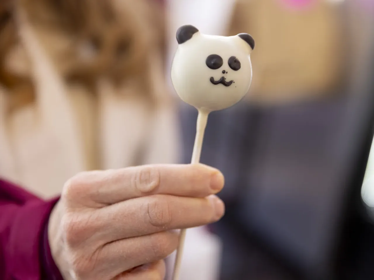 Giant Panda supporters flood the Smithsonian's National Zoo to see the new pandas Bao Li and Qing Bao on Friday, Jan. 24, 2025, in Washington D.C.