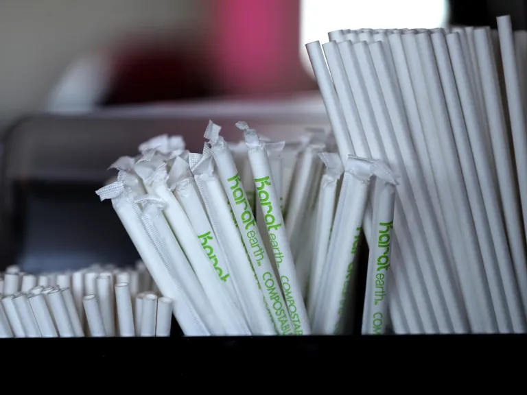Trump says ‘we’re going back to plastic straws.’ Is the paper straw dead?