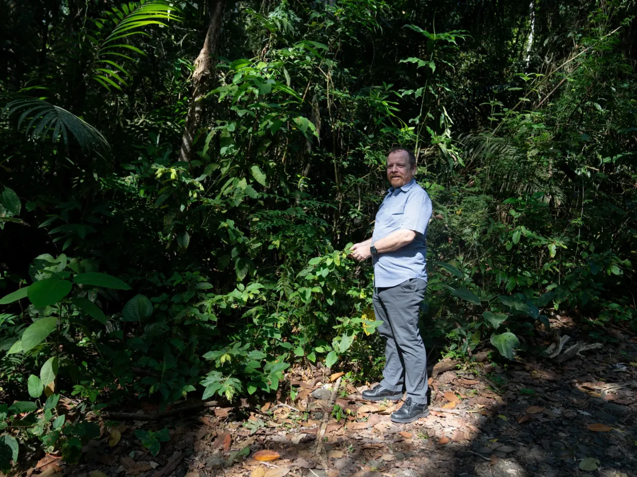 The Panama Canal needs more water. The solution is a dam that could displace thousands 4 Steve Paton, director of the Physical Monitoring Program at the Smithsonian Institution in Panama, measures different changes in sunlight, rainfall and temperature.