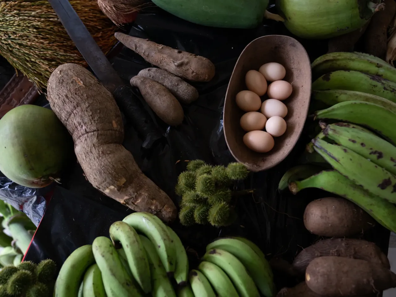 The Panama Canal needs more water. The solution is a dam that could displace thousands 5 A sample of crops and food harvested in Limón de Chagres, Panama.