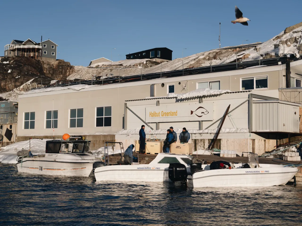 As Greenland prepares for tourism increase, a moment of stillness among the icebergs 2 Jan Cortsen's boat sails by Halibut Greenland company in Ilulissat Harbor on Feb. 18, 2025.