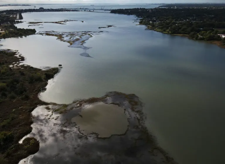 Federal cuts could ‘spell disaster’ for Chesapeake Bay