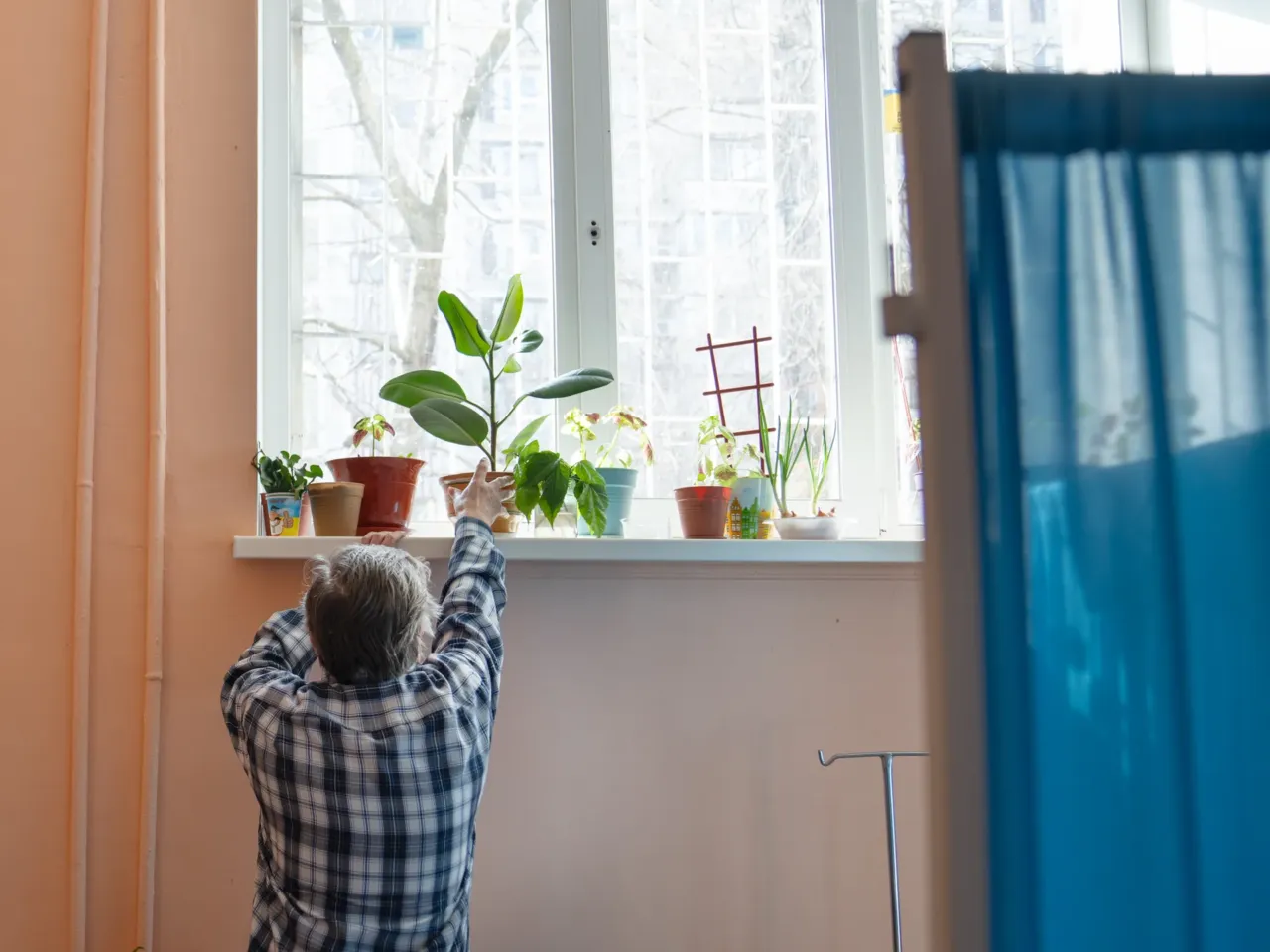 Ukrainians in front-line regions reel from losses, but say hope dies last for them 11 Halyna Zayceva tends to plants along the windowsill at the ARTAK shelter.