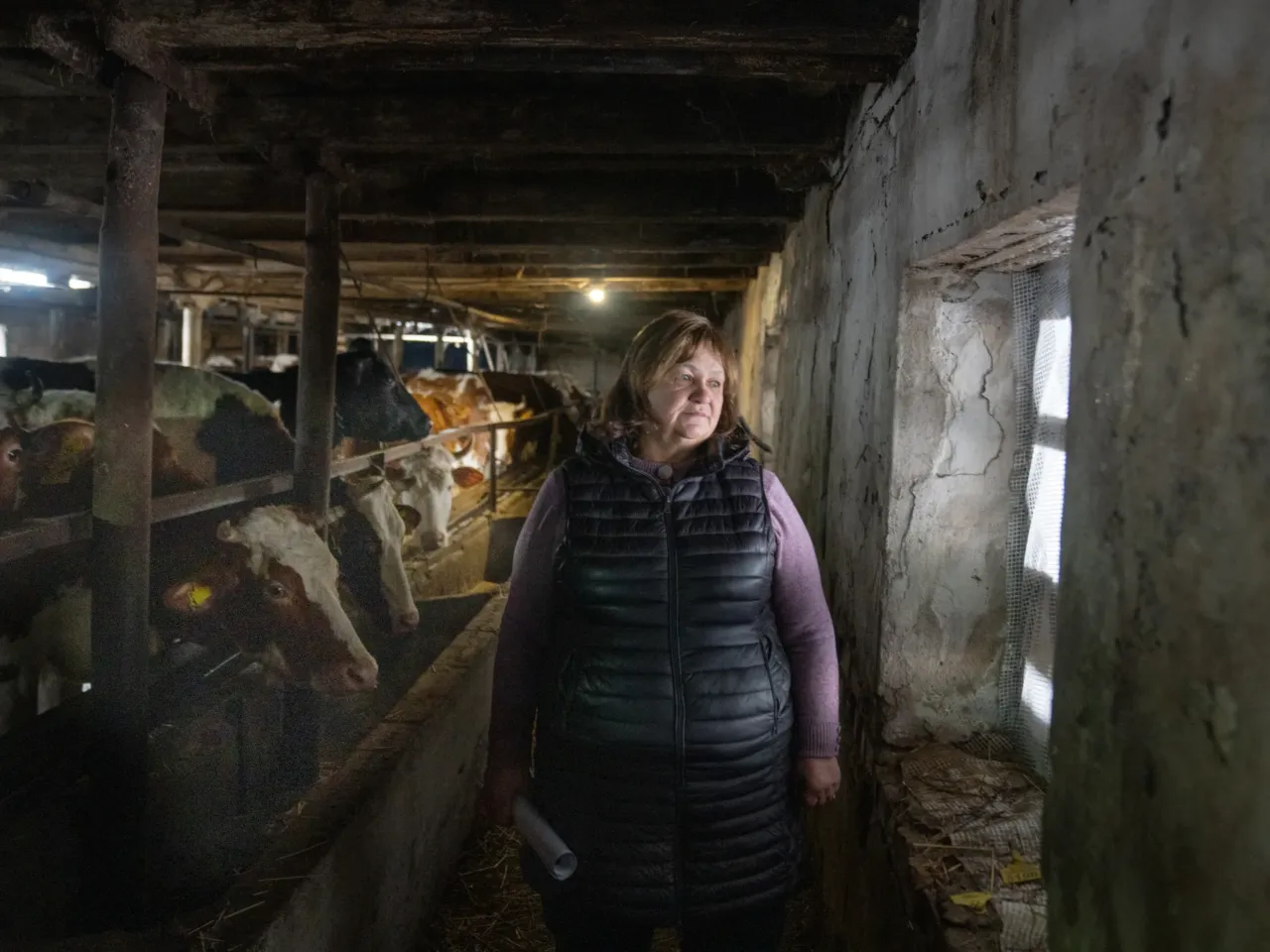 Ukrainians in front-line regions reel from losses, but say hope dies last for them 14 Lubov Zlobina stands in one of her remaining barns where she says the cows are squeezed into too little space after other barns were destroyed. Keeping them alive is now her main priority. She hopes she may get some help with funding to rebuild her barns. "Unreal damage. I can't actually even imagine how we should rebuild ourselves," Zlobina says.