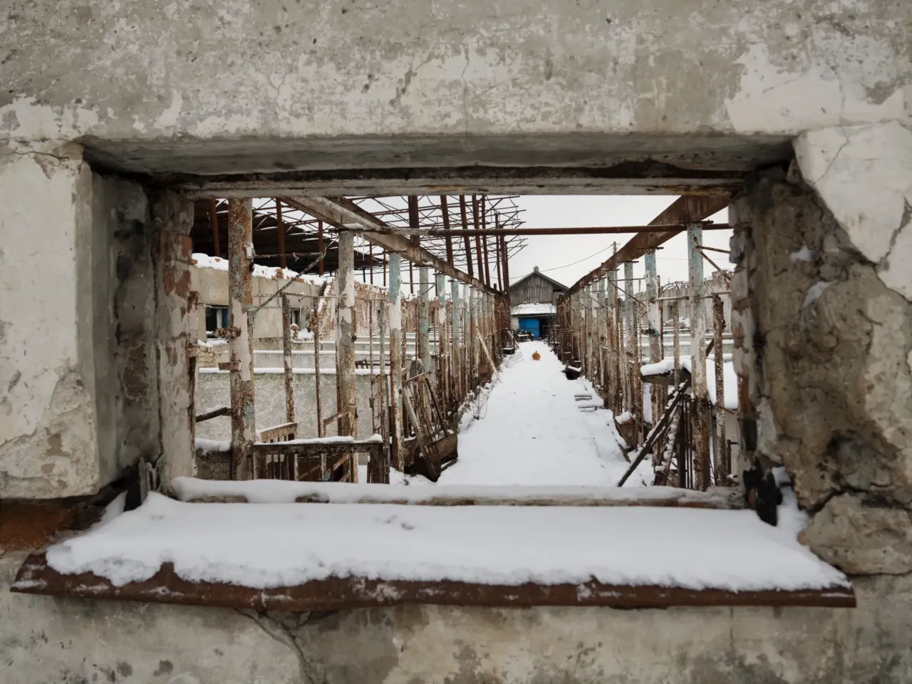 Ukrainians in front-line regions reel from losses, but say hope dies last for them 15 The day Lubov Zlobina's swine barn burned in 2022, she says people heard her screaming in the village nearby, and she had to explain. "It was me going insane. Because I thought I won't be able to take it." Her husband got in a tractor and rammed into the back of the barn, breaking down one of the walls enough to be able to slip in and save just a few piglets. Most of them still died.