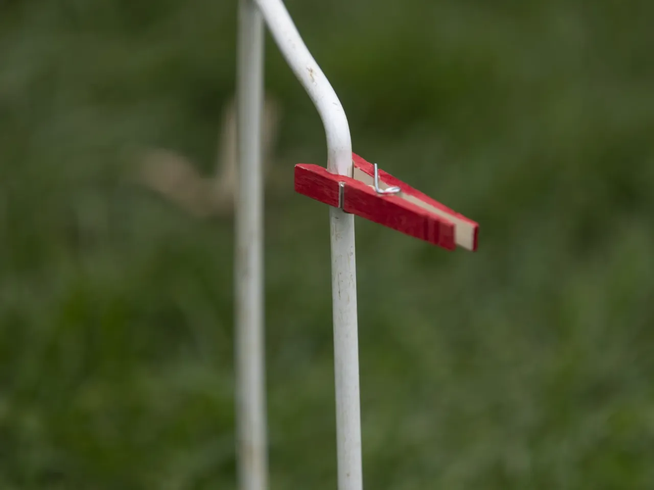 'The lawn giveth and the lawn taketh away': Photos from the 41st Annapolis Cup 18 A red colored "clip" on a wicket. Clips signify the next wicket that a player needs to go through. A clip positioned on the side of the wicket means that a player has gone through all of the wickets in one direction, has hit the stake on the far end and is heading back toward their starting stake.