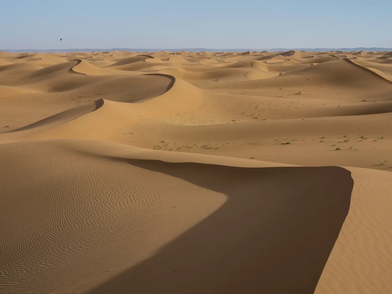 Photos: Scientists trace a butterfly migration route that is millions of years old 4 A painted lady butterfly crosses Erg Chigaga in Morocco. Each year, painted lady butterflies cross the Sahara and Arabian deserts, timing their migration to the brief bloom of wildflowers that follows seasonal rains.