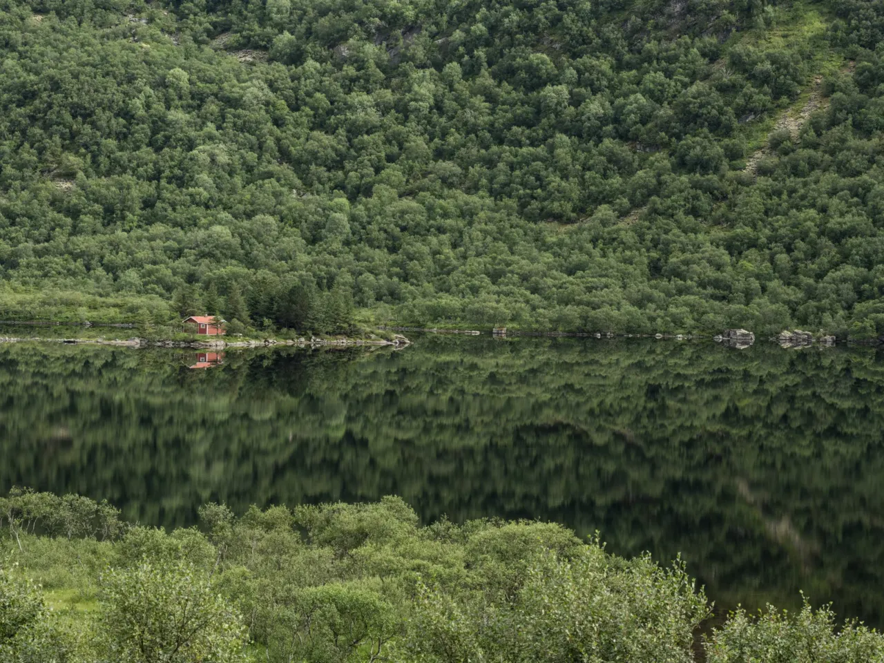 Photos: Scientists trace a butterfly migration route that is millions of years old 11 As Norway's climate warms, painted lady butterflies migrate farther north, making the longest butterfly migration even longer.