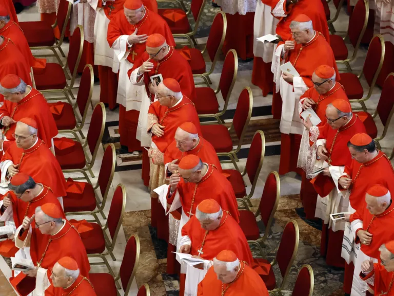 Who are the cardinals selecting the next pope?