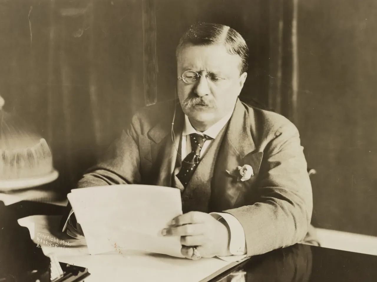 President Theodore Roosevelt at his desk circa 1906. In the early 1900s, he amplified the eugenicist concept of "race suicide" during another period of low birth rates.