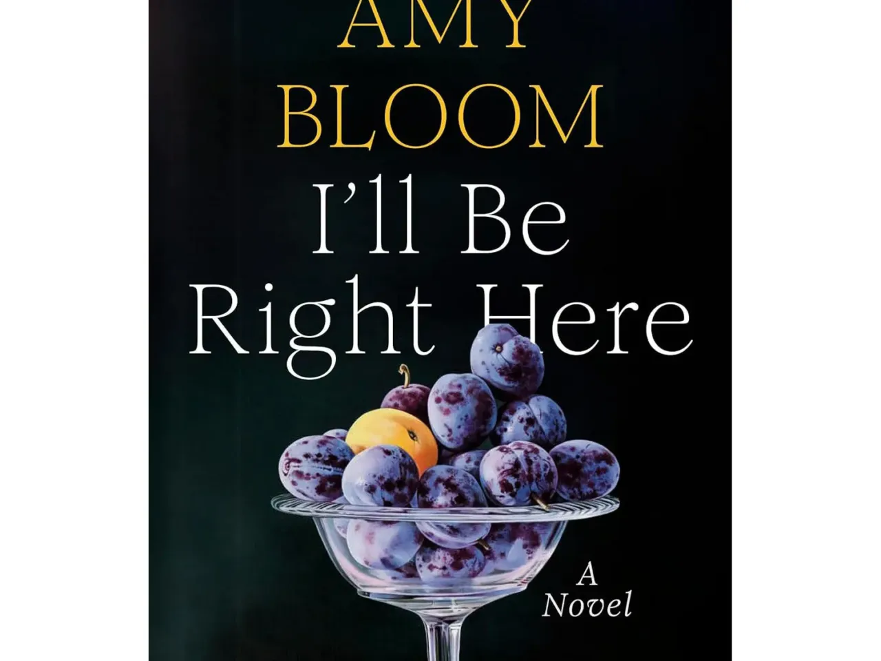 17 new books our critics can't wait to read this summer 7 157633 81nd5l3tnxl sl1500