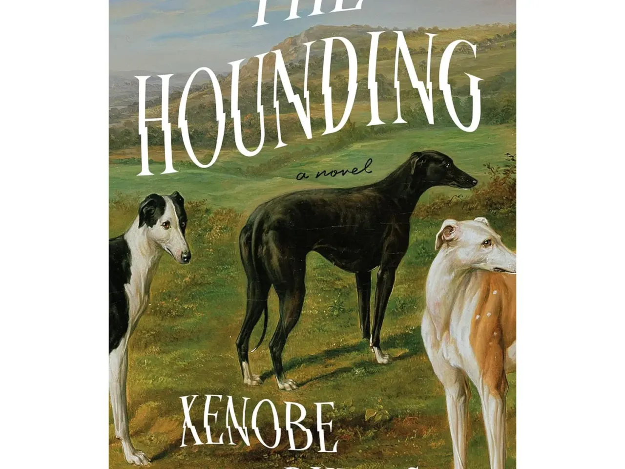 17 new books our critics can't wait to read this summer 15 157641 91 hkxz6mjl sl1500