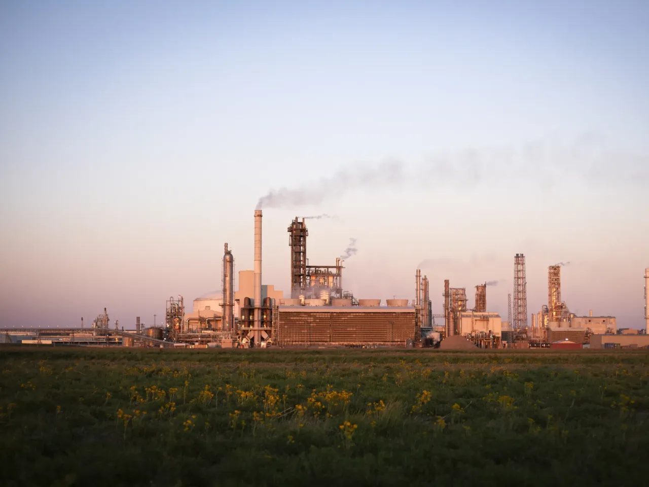 Over-polluted communities vow to fight despite EPA's rollback on environmental justice 1 A petrochemical company near Donaldsonville, Louisiana. This stretch of the state that runs along the Mississippi River is known as "Cancer Alley" where more than 150 petrochemical companies operate and locals experience high rates of cancer.