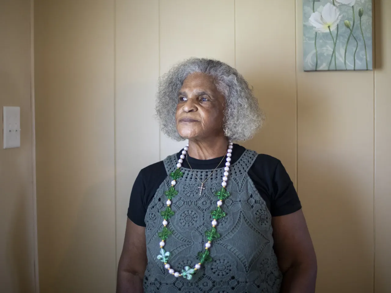 Over-polluted communities vow to fight despite EPA's rollback on environmental justice 6 Gail LeBoeuf is the co-founder of Inclusive Louisiana, an environmental justice nonprofit. Her organization and others have been fighting to stop Formosa Plastics from building a complex that will house 14 petrochemical facilities in St. James, Louisiana, which is located about a 30-minute drive away from St. John Parish.